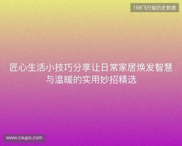 匠心生活小技巧分享让日常家居焕发智慧与温暖的实用妙招精选
